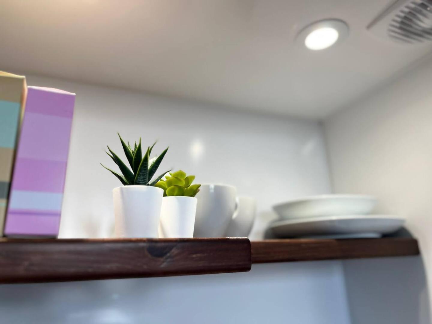 Apt 03 Beachside Beauty Central Studio Steps From Cafes Brighton Bagian luar foto